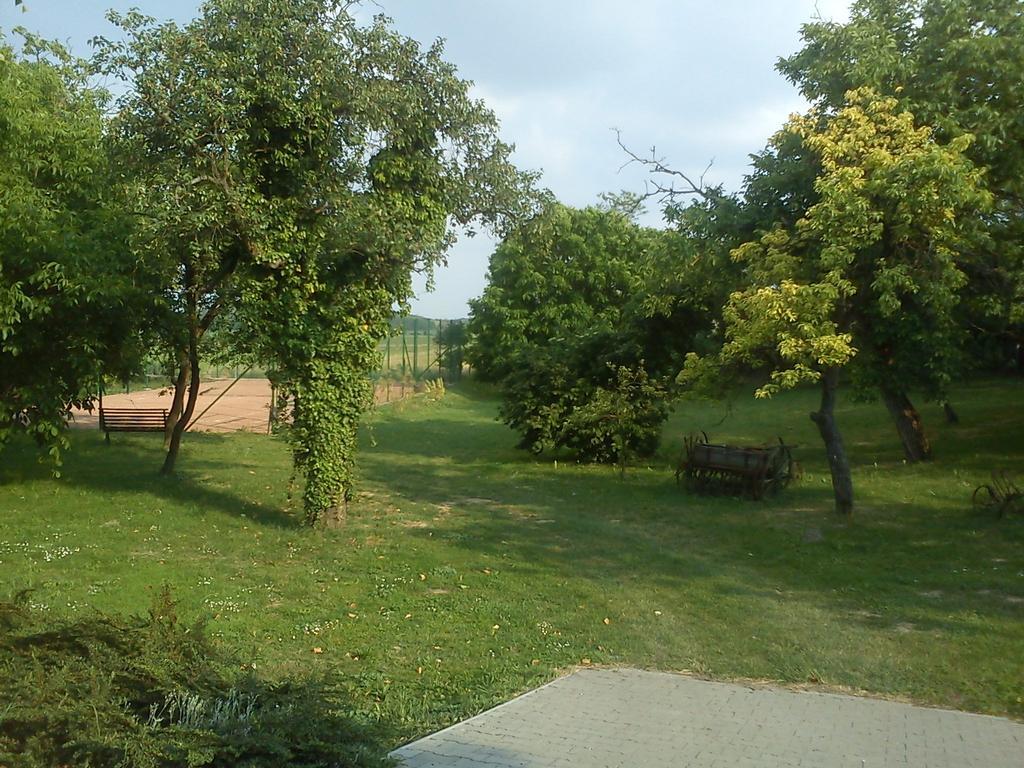 Borostyánkert Étterem&Vendégház Sitke Extérieur photo